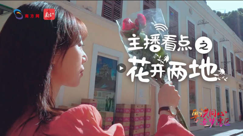 主播看點(diǎn)之花開(kāi)兩地