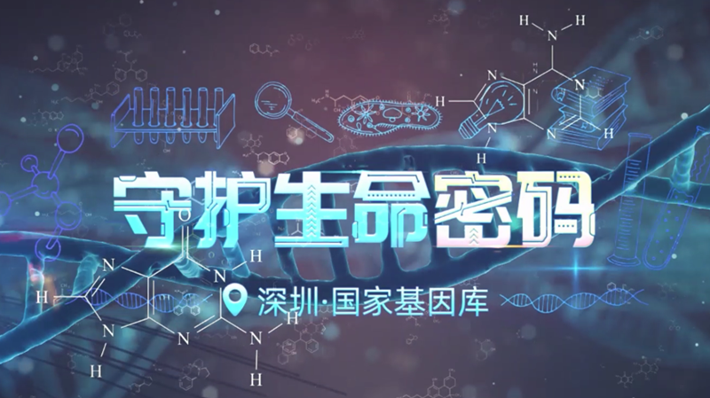 守護(hù)生命密碼