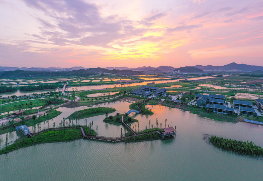 高水平的城市規(guī)劃建設水平。對標最高最優(yōu)最好城市規(guī)劃，推進城市綜合管廊、道路橋梁等基礎設施建設，城市功能不斷完善，城市景觀不斷美化，促進城市集約高效和轉型發(fā)展，打造經濟發(fā)展新動力。圖為翠亨國家濕地公園。