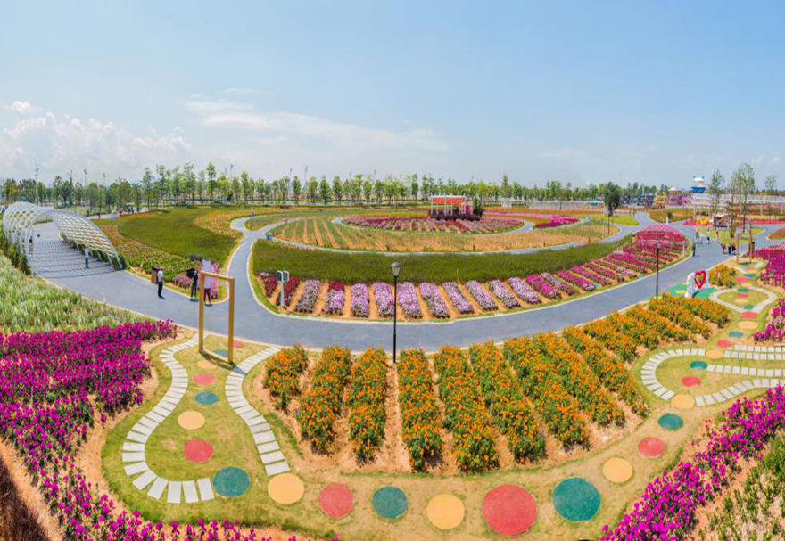 在城市建設(shè)方面，濱海灣新區(qū)打造生態(tài)、生活和生產(chǎn)相互融合的海岸帶空間格局，通過(guò)濱海景觀長(zhǎng)廊等構(gòu)筑起山海河林田草生命共同體，建設(shè)高水平智慧城市，全面提升城市品質(zhì)和內(nèi)涵。圖為濱海灣新區(qū)花卉公園。
