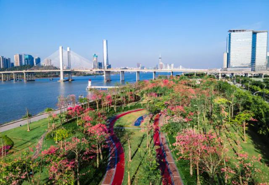 近年來，橫琴致力推動與澳門的一體化發(fā)展，建設包括“澳門新街坊”在內的一大批宜居宜業(yè)項目，大力推進宜居宜業(yè)宜游優(yōu)質生活圈的建設。圖為橫琴花海長廊。