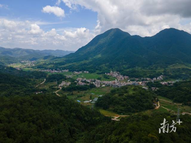 羅定市龍灣鎮(zhèn)萬畝南藥種植示范基地。  
