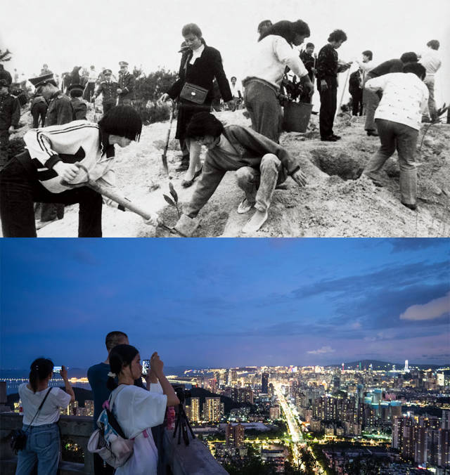 上圖：1985年，全市機關(guān)干部義務(wù)在板樟山上植樹；下圖：2020年，傍晚，市民和游客在板樟山上乘涼看風景