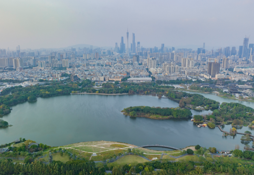 5月22日是國際生物多樣性日。濕地具有涵養(yǎng)水源、調(diào)節(jié)氣候、維持碳循環(huán)等極為重要的生態(tài)功能，是生物多樣性的重要發(fā)源地之一?；浉郯拇鬄硡^(qū)擁有多個(gè)濕地公園，優(yōu)質(zhì)的生態(tài)環(huán)境為各種生物提供了生存繁衍空間，對(duì)維護(hù)生物多樣性起到積極意義。廣州海珠國家濕地公園是全國特大城市中心區(qū)域面積最大的濕地公園，目前濕地率達(dá)79.4%，鳥類種類從72種增加到187種，昆蟲種類從66種增加值738種，魚類從36種增加到64種。圖為廣州海珠濕地公園。