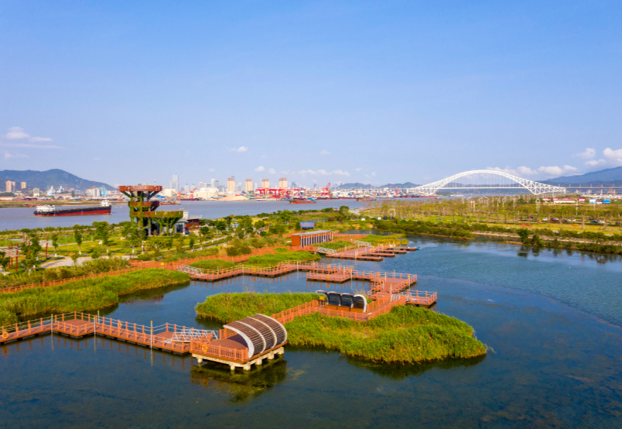 遠(yuǎn)眺芒洲濕地公園，滿眼翠綠，公園四周環(huán)繞一圈花草樹木，中間是水塘和綠洲，一些綠洲之間連接著紅色的棧道和浮橋，不遠(yuǎn)處的洪鶴大橋橫空而過。水塘邊生長著眾多紅樹林植物和大片的蘆葦，許多鳥類在此棲息、繁衍，這是橫琴鳥類的“天堂。圖為珠海橫琴芒洲濕地公園。