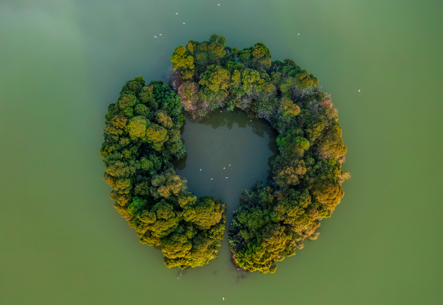 佛山三水云東海國家濕地公園坐落于珠三角腹地，總面積超過400公頃，是佛山市國家森林城市建設(shè)的重點(diǎn)工程，也是佛山市濕地體系中“三江匯流”保育區(qū)的濕地生態(tài)景觀核心和珠三角地區(qū)鳥類遷徙的重要節(jié)點(diǎn)。湖水瀲滟、植被茂盛，月亮湖湖心環(huán)形小島吸引了上千只鷺鳥在此集聚棲息。圖為佛山三水云東海國家濕地公園。