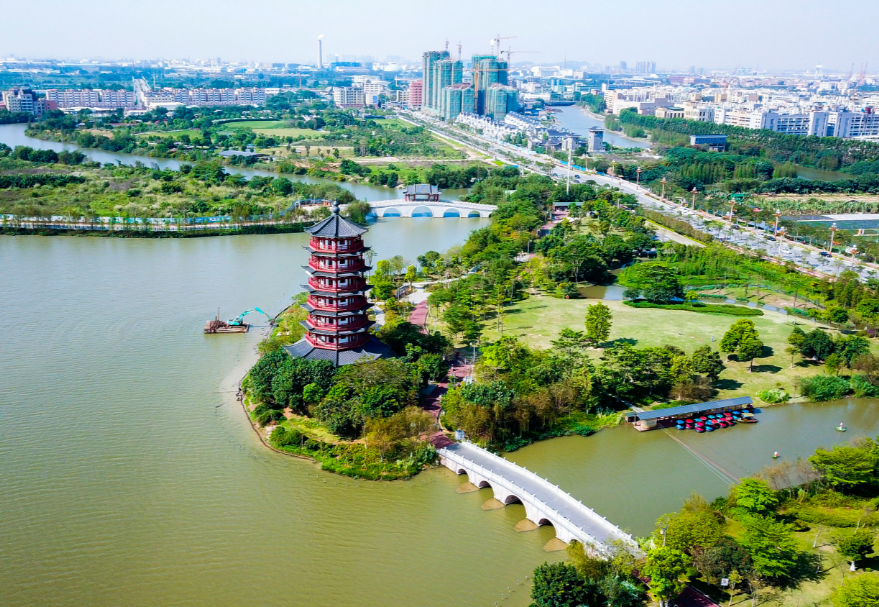 在東莞，華陽湖經(jīng)過數(shù)年整治，完成了從“污染重災(zāi)區(qū)”到“濕地公園”的美麗蛻變，東莞麻涌華陽湖國家濕地公園更是以優(yōu)美的風(fēng)光和環(huán)境成為了東莞旅游的一張亮麗名片，吸引了白鷺、夜游鶴、野鴨等一大批水鳥重歸這片棲息地。圖為東莞麻涌華陽湖國家濕地公園。