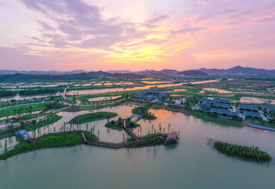 在中山翠亨国家湿地公园，红树林同样是一道靓丽的风景线，在黄昏时分，公园里“秋水共长天一色，落霞与孤鹜齐飞”，一派安谧祥和。图为中山翠亨国家湿地公园。