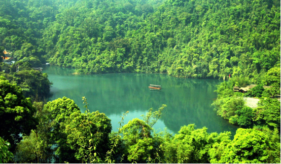 Zhaoqing3
