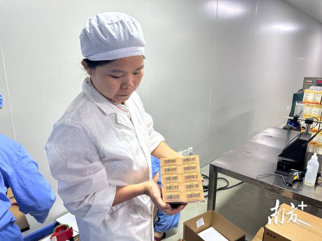 在广东恒健制药有限公司生产车间内，“位元堂”的麝香活络油已完成灌装与包装，赋上药品溯源码后，正式下生产线。