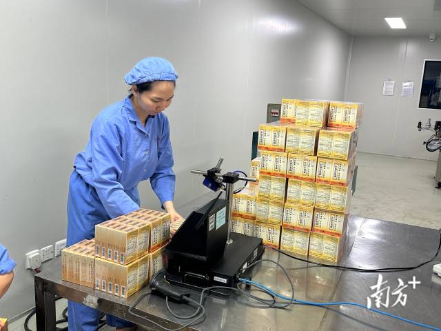 在广东恒健制药有限公司生产车间内，“位元堂”的麝香活络油已完成灌装与包装，赋上药品溯源码后，正式下生产线。