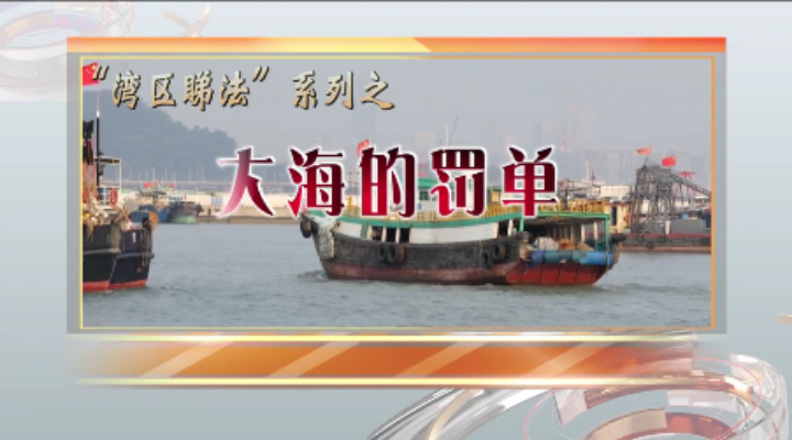 大海的罰單