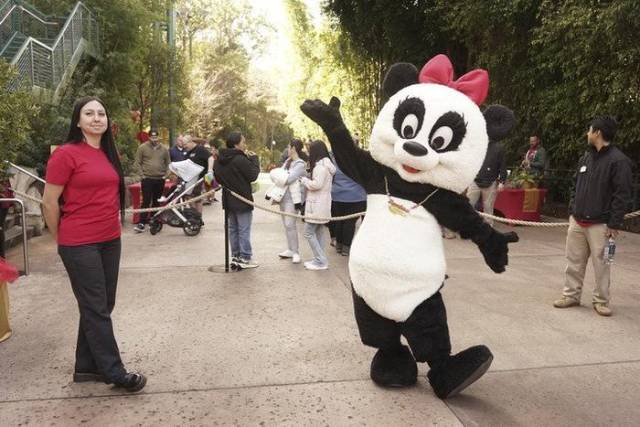 △今年2月4日，在美國(guó)加州圣迭戈動(dòng)物園，一名裝扮成熊貓的工作人員在春節(jié)慶祝活動(dòng)上歡迎游客。