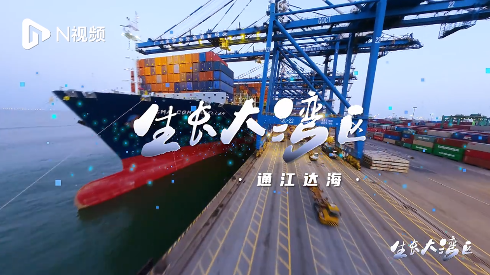 通江達(dá)海！在智慧碼頭南沙港看中國汽車外貿(mào)如何“生長”