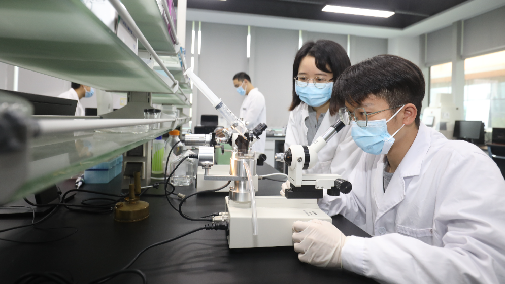 最高1億元項目資助、保障子女教育！橫琴出臺人才新政