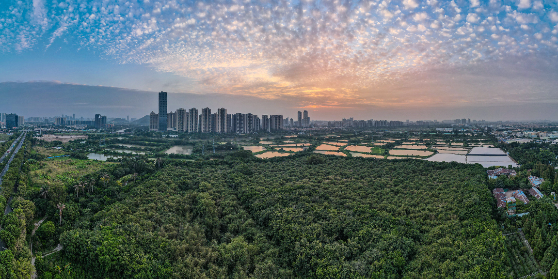 粵港澳大灣區(qū)門戶網(wǎng)