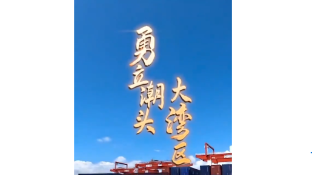 勇立潮頭大灣區(qū)丨震撼！看廣州南沙港智慧碼頭“隔空取物”