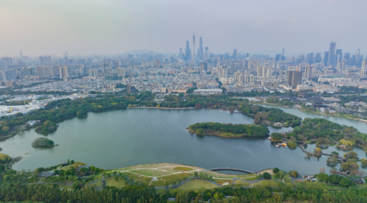 不可缺“濕”的生態(tài)之美！一起暢游大灣區(qū)濕地公園