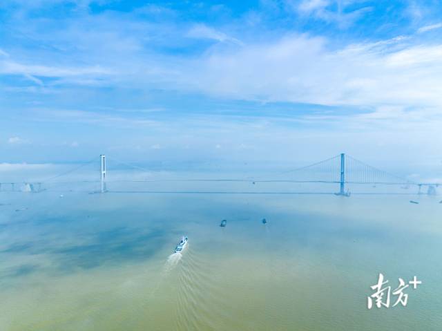 包攬多項世界之最的深中大橋。