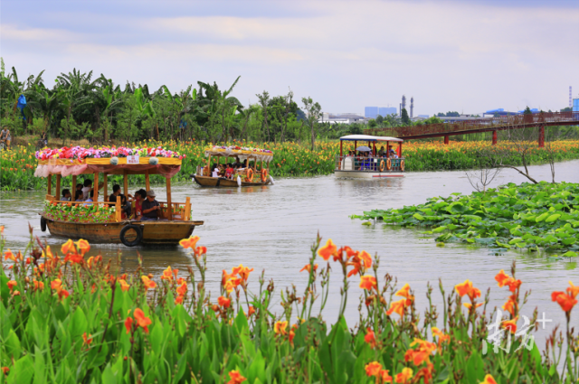 廣東華陽湖國(guó)家濕地公園馬滘河花海漂游