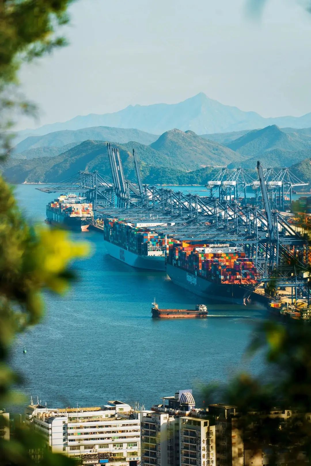 深圳港