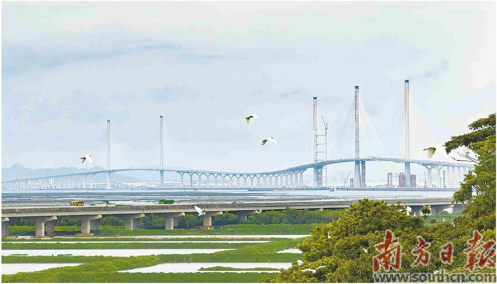 黃茅?？绾Ｍǖ李A(yù)計11月底驗收.png