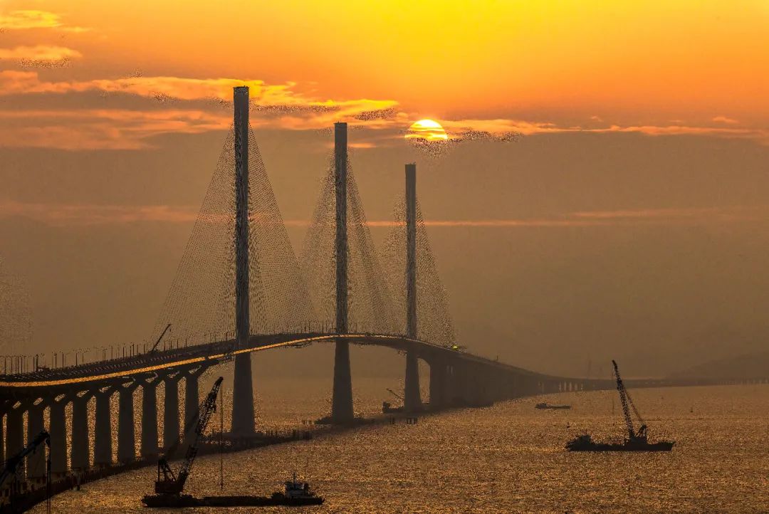 落日下的黃茅海大橋（馮珠仔 攝）