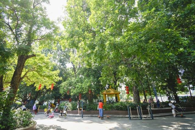 肇慶端州區(qū)人均公園面積位居全省前列。黃詠欣 攝 肇慶端州區(qū)人均公園面積位居全省前列。黃詠欣 攝