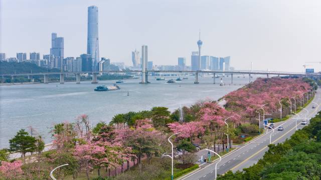 橫琴粵澳深度合作區(qū)執(zhí)委會副主任蘇崑：當合作區(qū)的“全球推薦官”