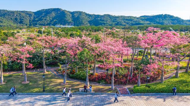 張國基：規(guī)劃新增4條聯(lián)澳通道，推出琴澳交通“一卡通”
