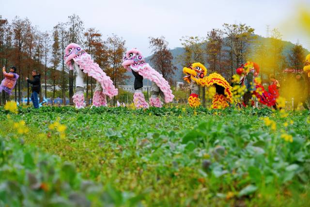 珠中江三市首次聯(lián)合打造珠西都市圈城鄉(xiāng)統(tǒng)籌高質(zhì)量發(fā)展先行區(qū)鄉(xiāng)村旅游風(fēng)情帶