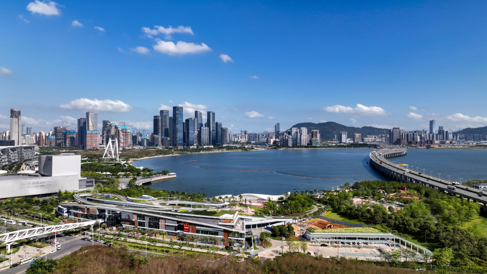 沙特政企代表團訪深圳前海，這些合作要搞大！