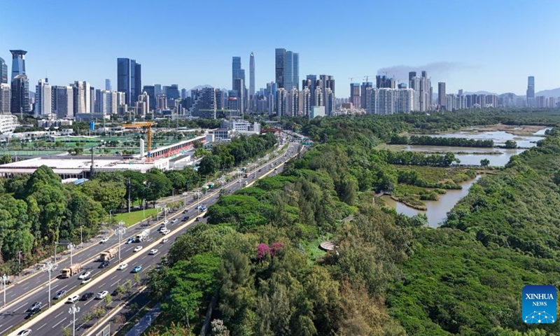 An aerial drone photo shows a view of a mangrove wetland in Futian of Shenzhen, south China's Guangdong Province, Nov. 29, 2024.

Covering an area of 56,000 square kilometers, which is less than 0.6 percent of the country's total land area, the Guangdong-Hong Kong-Macao Greater Bay Area generated an economic output exceeding 14 trillion yuan in 2023, roughly one-ninth of the national total. It stands as one of China's most open and economically dynamic areas, and is also among the regions with the highest economic development quality. (Xinhua/Liang Xu)