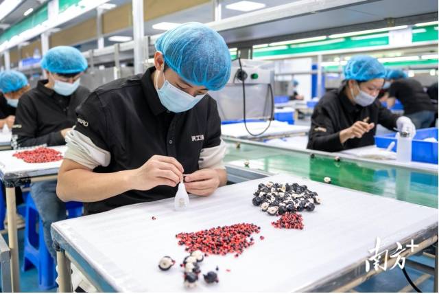 東莞企業(yè)沃工場正馬不停蹄地制作《哪吒2》衍生品。