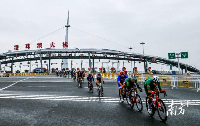 2024粵港澳公路自行車賽，選手們途經(jīng)港珠澳大橋。南方+記者 錢文攀 攝