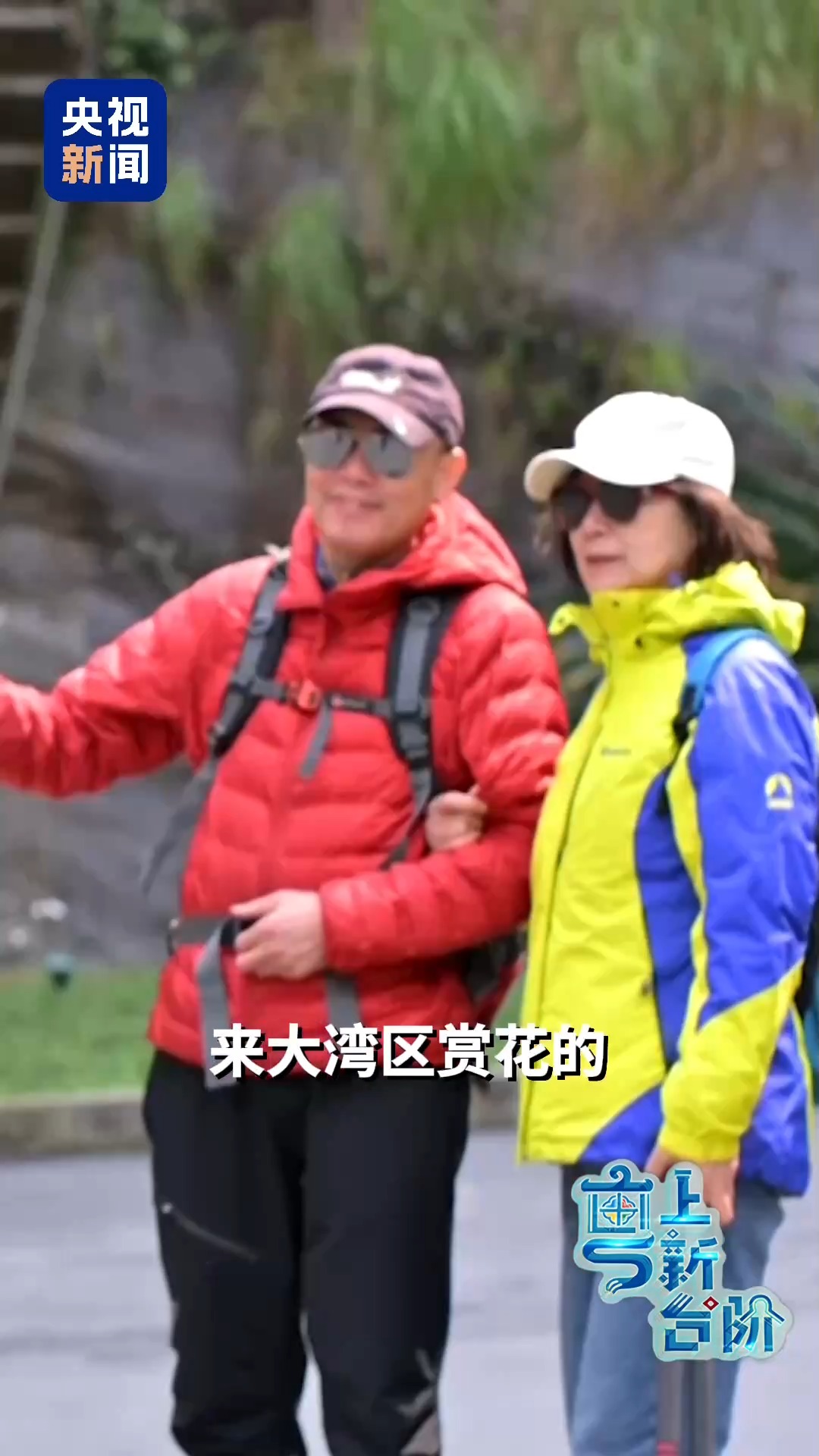 一趟由北向南開行的列車同時(shí)“驚動(dòng)”了京津冀和粵港澳大灣區(qū)兩大經(jīng)濟(jì)圈。