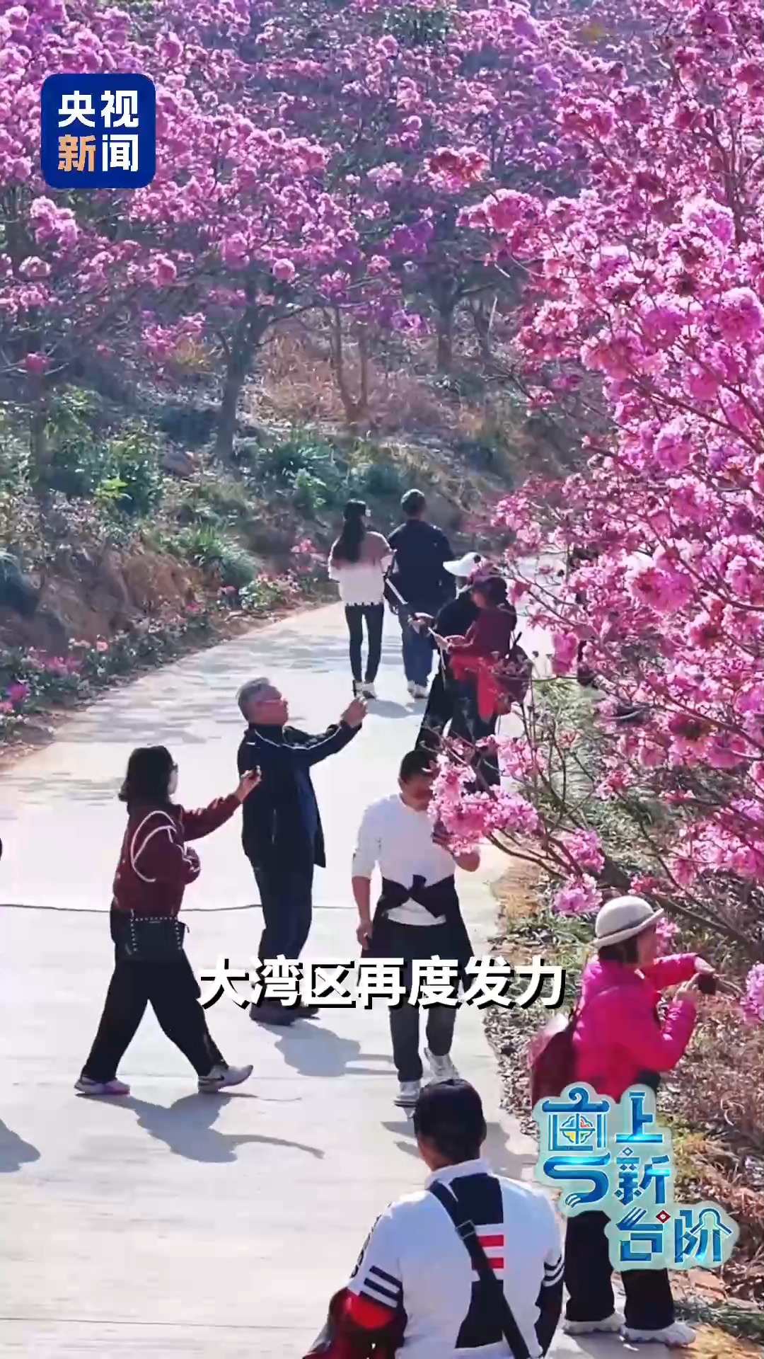 一趟由北向南開行的列車同時(shí)“驚動(dòng)”了京津冀和粵港澳大灣區(qū)兩大經(jīng)濟(jì)圈。