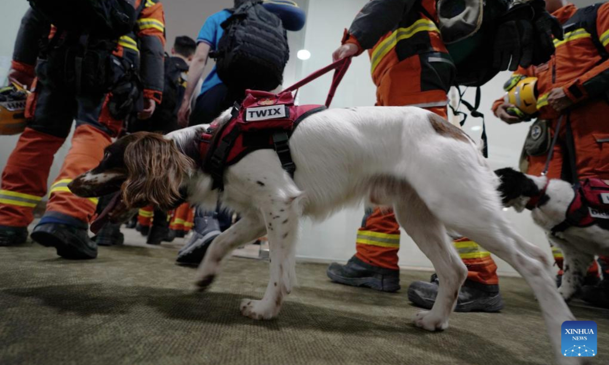 Members of a rescue team from China's Hong Kong Special Administrative Region (HKSAR) government arrive in Yangon, Myanmar, March 29, 2025. The HKSAR government sent a 51-strong search and rescue team to earthquake-stricken areas in Myanmar on Saturday to assist in the search and rescue work. (Photo by Wang Shen/Xinhua)