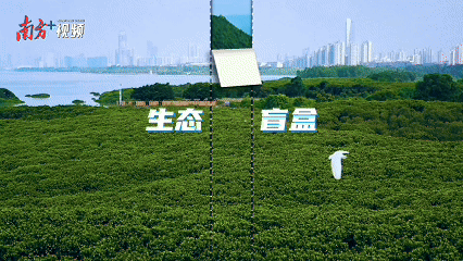 內(nèi)伶仃島