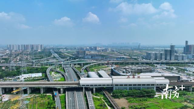 香港规划师学会原会长李建华：突破物理边界，释放粤港“双枢纽”联动效应
