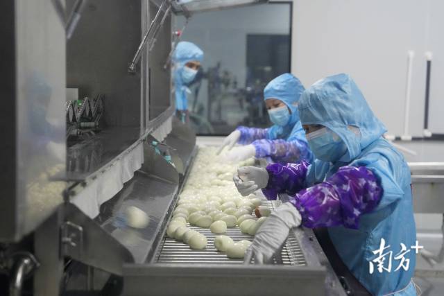 广东省领鲜食品科技有限公司