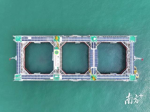 空中俯瞰“格盛一号”海洋牧场。