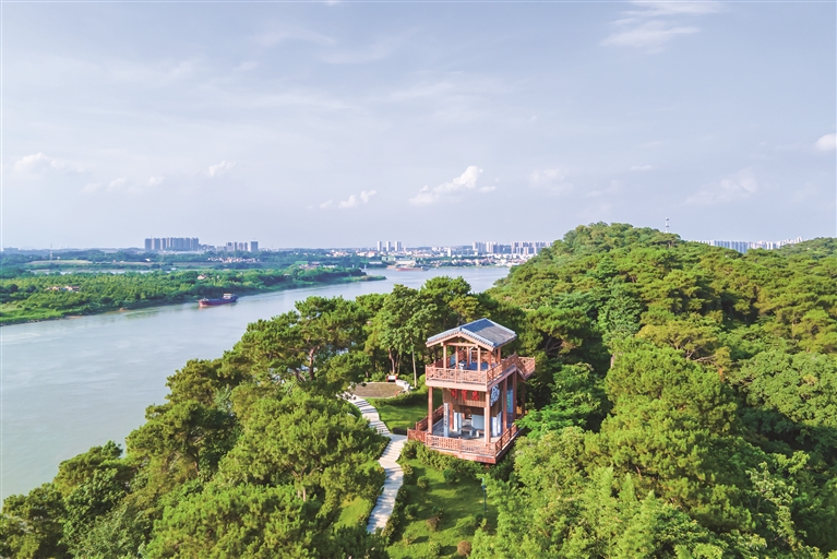 在三水江根村可饱览“三江汇流”奇景。