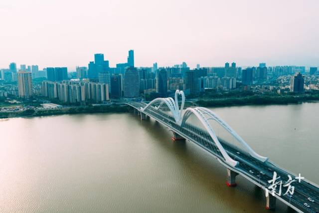 惠州鹅城大桥。