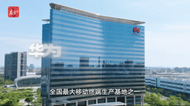   “创新全运会”鸣哨，11城接力新质火炬