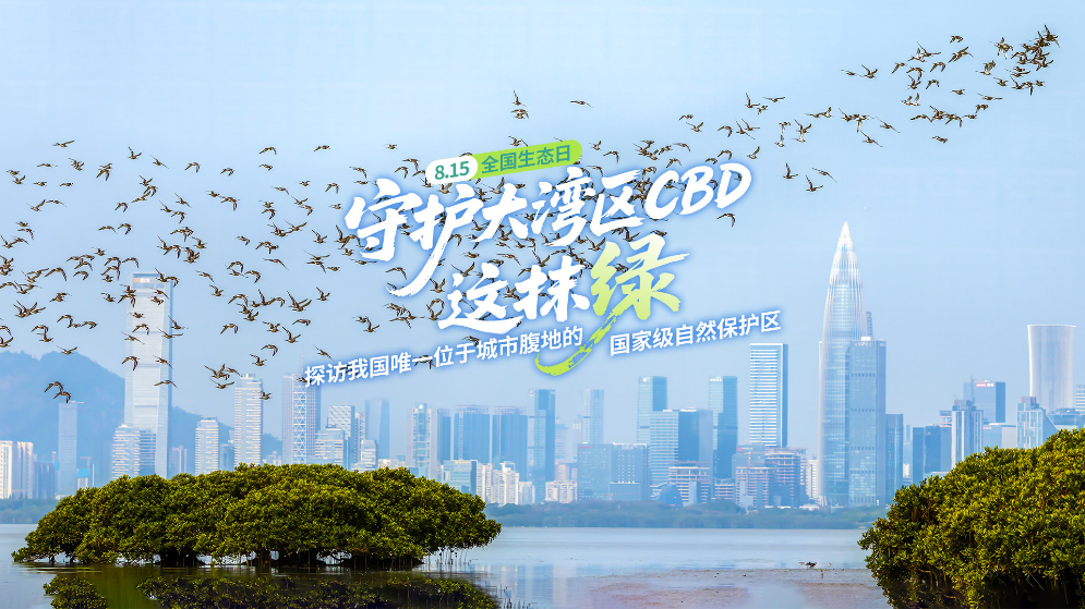 守护大湾区CBD的这抹绿