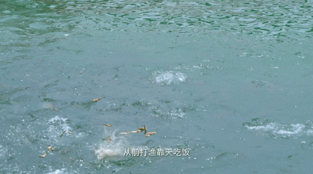 这是我的城！珠海最新城市形象片发布！